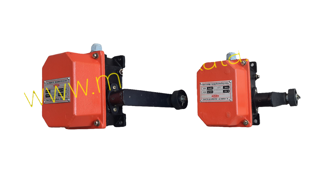 Lever limit switch for crane