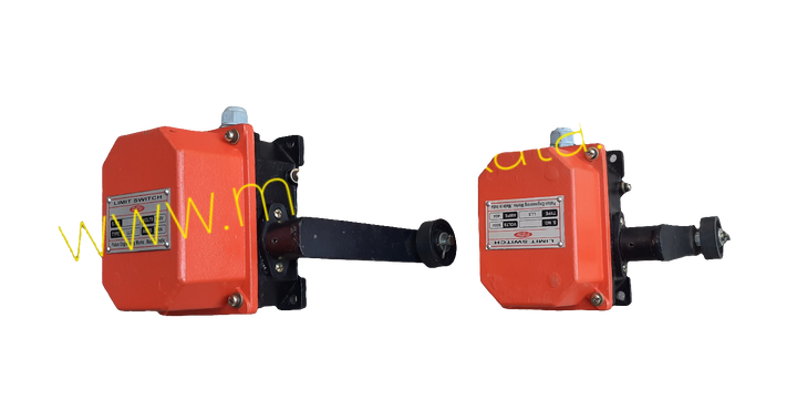 Lever limit switch for crane